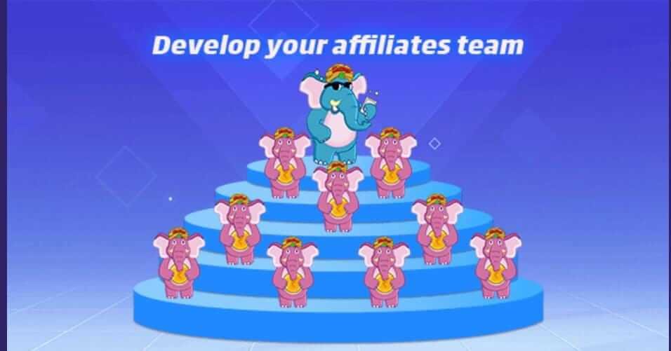 Develop and guide affiliates of Teen Patti Master